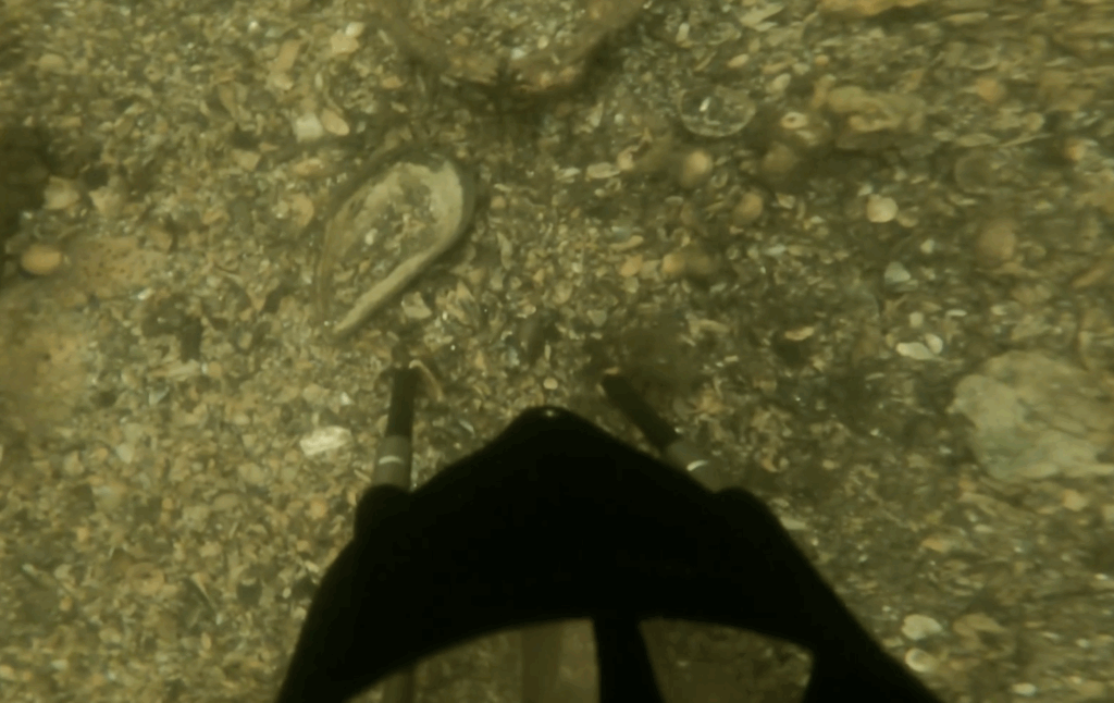 Bottom type characterization by JaiaBot